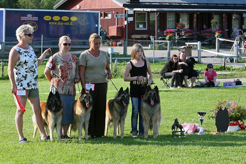 BIS1_kasvattaja_casarborgs.jpg - BIS1 breeders group / BIS1 kasvattajaryhmä  Cäsarborg's   (Foxy Lourdes, Foxy Lilac, Foxy Meredith, Foxy Joline)