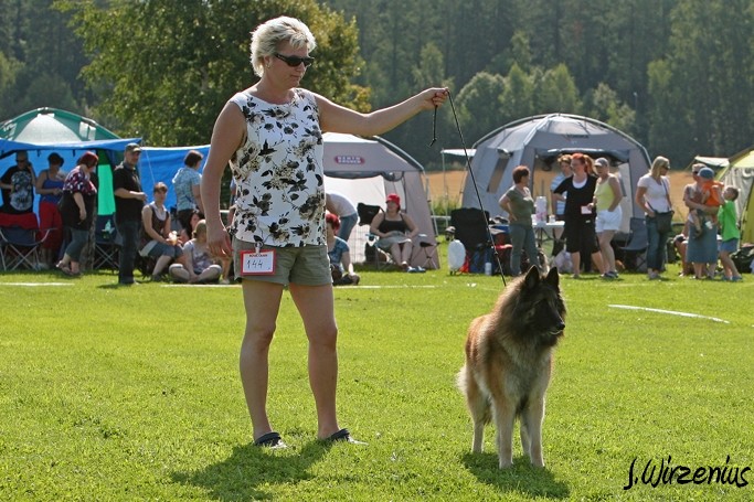 m_IMG_1780.jpg - Open class female  2. exc Cäsarborg's Foxy Lourdes  / Avoin luokka nartut Cäsarborg's Foxy Lourdes ERI2
