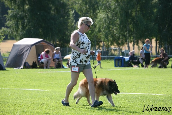m_IMG_1789.jpg - Open class female  2. exc Cäsarborg's Foxy Lourdes  / Avoin luokka nartut Cäsarborg's Foxy Lourdes ERI2