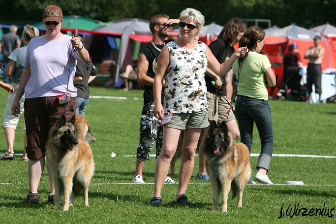 m_IMG_1863.jpg - Open class females Foxy Lilac 1.exc and Foxy Lourdes 2. exc / Avoin luokka nartut Foxy Lilac ERI1 ja Foxy Lourdes ERI2