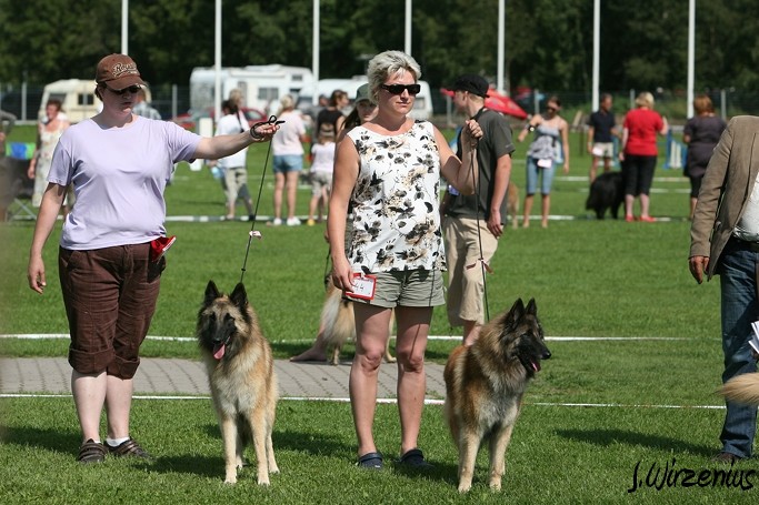 m_IMG_1875.jpg - Open class females Foxy Lilac 1.exc and Foxy Lourdes 2. exc / Avoin luokka nartut Foxy Lilac ERI1 ja Foxy Lourdes ERI2