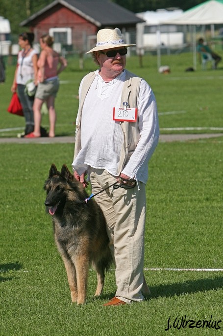 m_IMG_2043.jpg - Best male ring young class 2. exc, CAC Cäsarborg's Foxy Maverick / Paras uros kehä Cäsarborg's Foxy Maverick nuo ERI2, SERTI
