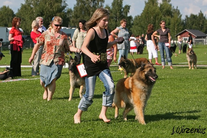 m_IMG_2064.jpg - Best female ring / Paras narttu kehä Cäsarborg's Foxy Joline käy ERI1, PN2, ROP-käy, BIS3-käy, Cäsarborg's Foxy Ilana käy ERI2, PN4, SERTI