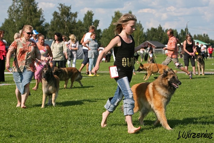 m_IMG_2065.jpg - Best female ring / Paras narttu kehä Cäsarborg's Foxy Joline käy ERI1, PN2, ROP-käy, BIS3-käy, Cäsarborg's Foxy Ilana käy ERI2, PN4, SERTI