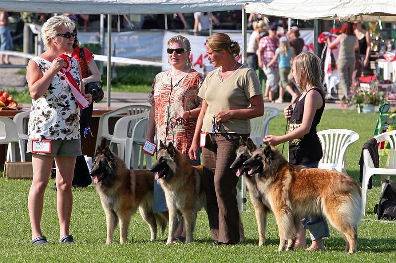 m_IMG_2129.jpg - Best tervueren breeders group / Paras tervueren kasvattajaryhmä Cäsarborg's  (Foxy Lourdes, Foxy Lilac, Foxy Meredith, Foxy Joline)