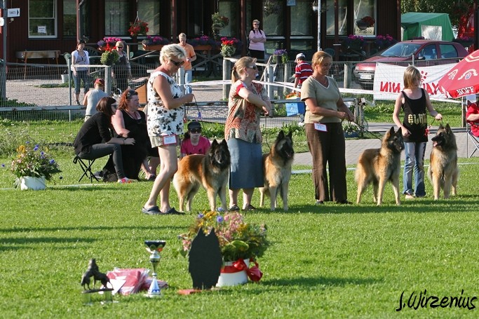 m_IMG_2143.jpg - BIS breeders ring / BIS kasvattajaryhmä kilpailu Cäsarborg's group in the picture / kuvassa