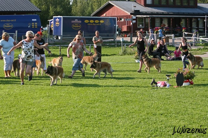 m_IMG_2148.jpg - BIS breeders ring / BIS kasvattajaryhmä kilpailu Cäsarborg's group  (Foxy Lourdes, Foxy Lilac, Foxy Meredith, Foxy Joline)