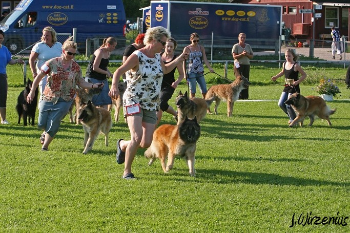 m_IMG_2149.jpg - BIS breeders ring / BIS kasvattajaryhmä kilpailu Cäsarborg's group  (Foxy Lourdes, Foxy Lilac, Foxy Meredith, Foxy Joline)