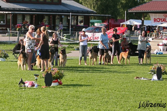 m_IMG_2153.jpg - BIS1 breeders group / BIS1 kasvattajaryhmä  Cäsarborg's   (Foxy Lourdes, Foxy Lilac, Foxy Meredith, Foxy Joline)