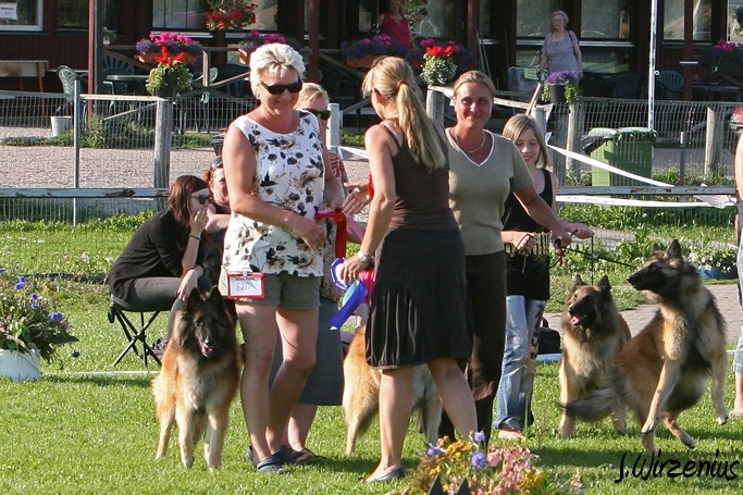 m_IMG_2154.jpg - BIS1 breeders group / BIS1 kasvattajaryhmä  Cäsarborg's   (Foxy Lourdes, Foxy Lilac, Foxy Meredith, Foxy Joline)