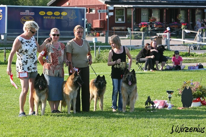 m_IMG_2164.jpg - BIS1 breeders group / BIS1 kasvattajaryhmä  Cäsarborg's   (Foxy Lourdes, Foxy Lilac, Foxy Meredith, Foxy Joline)