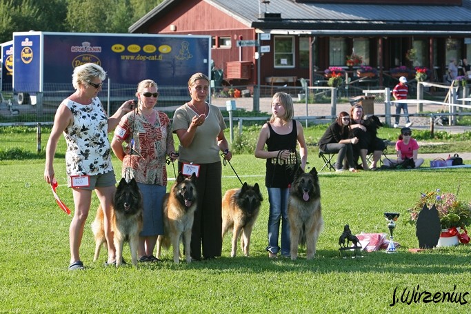 m_IMG_2165.jpg - BIS1 breeders group / BIS1 kasvattajaryhmä  Cäsarborg's   (Foxy Lourdes, Foxy Lilac, Foxy Meredith, Foxy Joline)