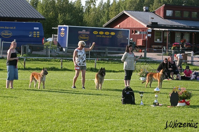 m_IMG_2191.jpg - BS Working class dog / BIS käyttöluokan koiran valinta