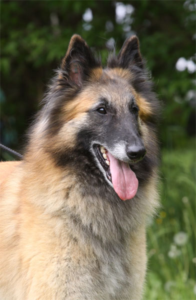 Elli spring 2009 / kev&auml;t 2009