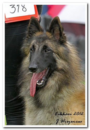 Gini 16 months old / Gini 16kk ik&auml;isen&auml;