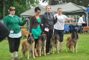 C&auml;sarborg's breeders group 2. best ( Foxy Lilac, Precious Pearl,Shalimar, Foxy Lourdes)