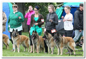 C&auml;sarborg's breeders group 2. best ( Foxy Lilac, Precious Pearl,Shalimar, Foxy Lourdes)