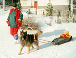 Foxi winter 1998 / talvi 1998