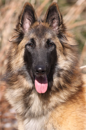 Helmi 1 year old / ik&auml;&auml; yksi vuosi