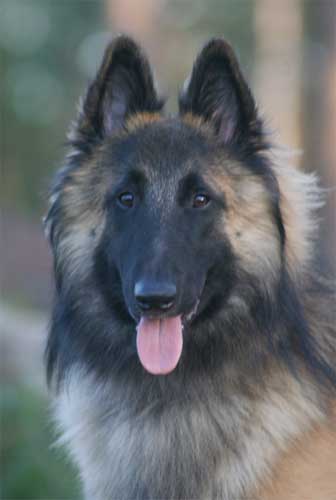 Lissu 2 years / 2 vuotta