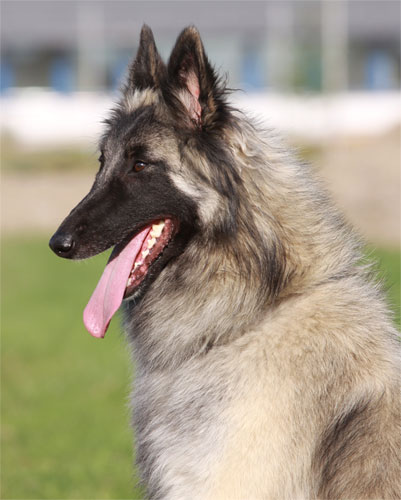 Sofi 20 months / 20 kk