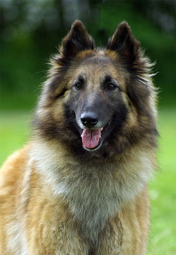 Photo Emine Lundsten