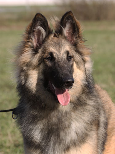 Karo 8 weeks / Karo 8 viikkoa